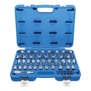 Bgs Technic - Bit-Einsatz-Satz Antrieb Innenvierkant 12,5 mm (1/2'), Außensechskant 8 mm (5/16') 49-tlg.