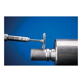 Tools 43100552 Minirundbürste rbu 1902/3 inox 0,10 D19xB2xL5mm va - Pferd