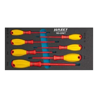 Hazet Werkzeugmodul 163-229/7 7-tlg.Anz.Werkzeuge:7 - 163-229/7