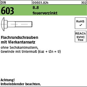 DIN 603 Flachrundschraube M10x30 Stahl 8.8 feuerverzinkt m. Vierkantansatz 100 Stk