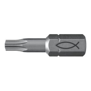 Profi Bit fpb t 10 - Fischer