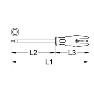 ERGOTORQUEplus Schraubendreher, T15