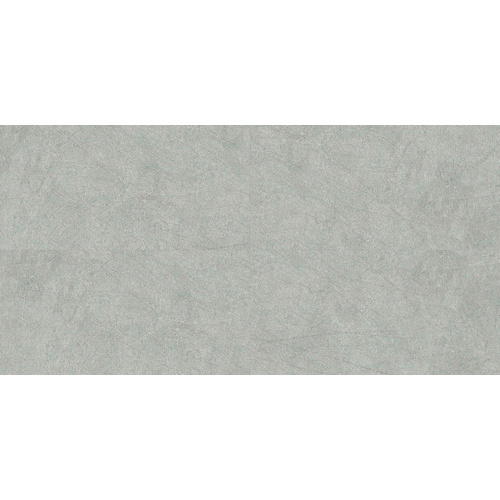 VILO Wandverkleidung »VILO SPC«, SPC Wandverkleidung CONCRETE LIGHT VILO 120X60 MATT, 1 VE = 2,88 m² - grau