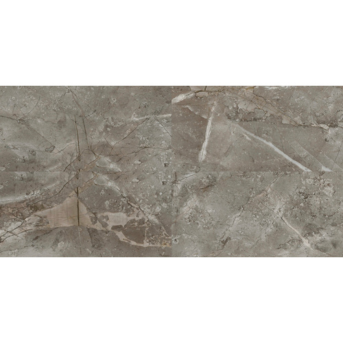 VILO Wandverkleidung »VILO SPC«, SPC Wandverkleidung MARBLE SKIN VILO 120X60, 1 VE = 2,88 m² - grau