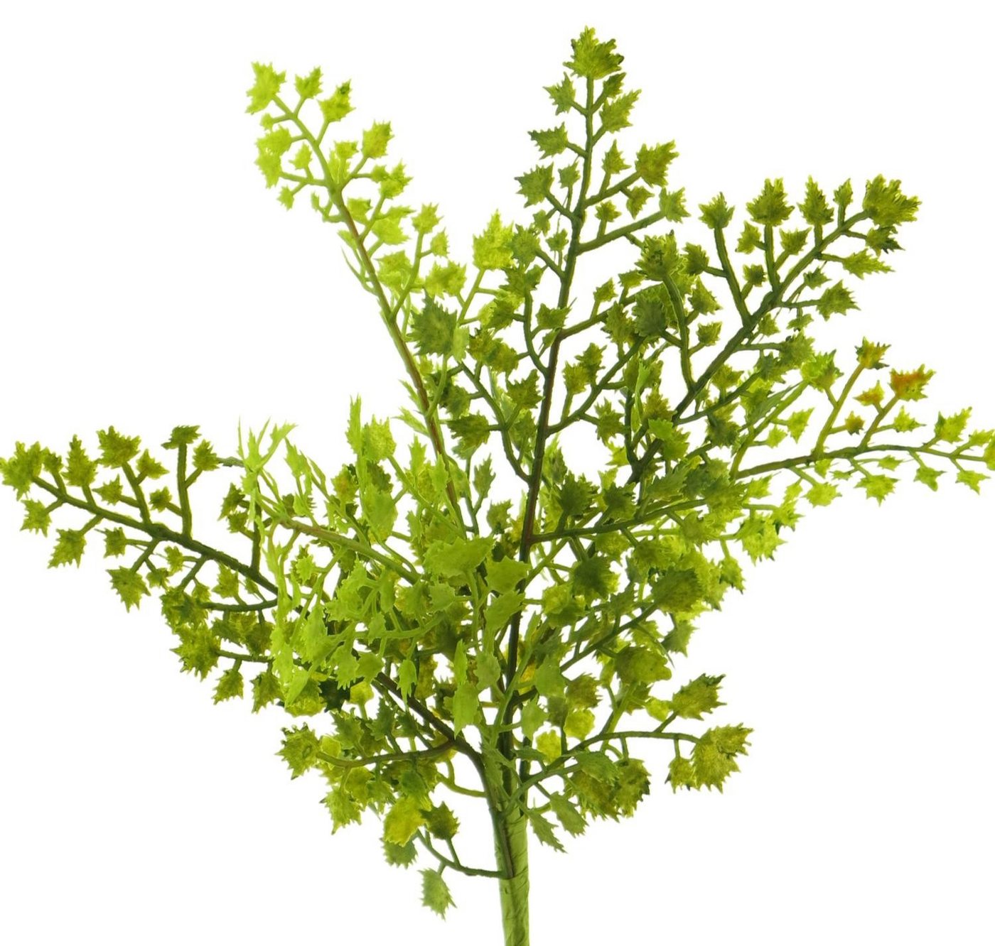 Künstliche Zimmerpflanze Deko Pflanze Frauenhaarfarn SHUMING, Steckstab, grün, 30 cm Farn (Frauenhaarfarn), artplants, Höhe 30.0 cm