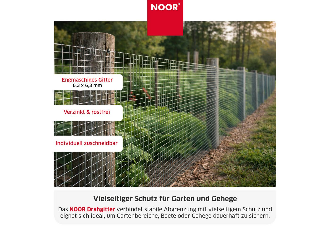 NOOR Maschendrahtzaun Drahtgitter - Pflanzenschutz in verschiedenen Größen und Maschenweiten, Robuster Drahtzaun - flexibel einsetzbar für Garten & Tierbereiche Bild 2
