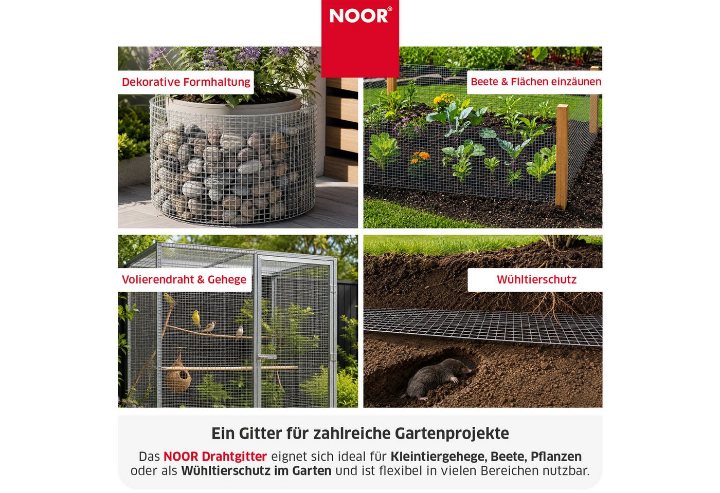 NOOR Maschendrahtzaun Drahtgitter - Pflanzenschutz in verschiedenen Größen und Maschenweiten, Robuster Drahtzaun - flexibel einsetzbar für Garten & Tierbereiche Bild 4