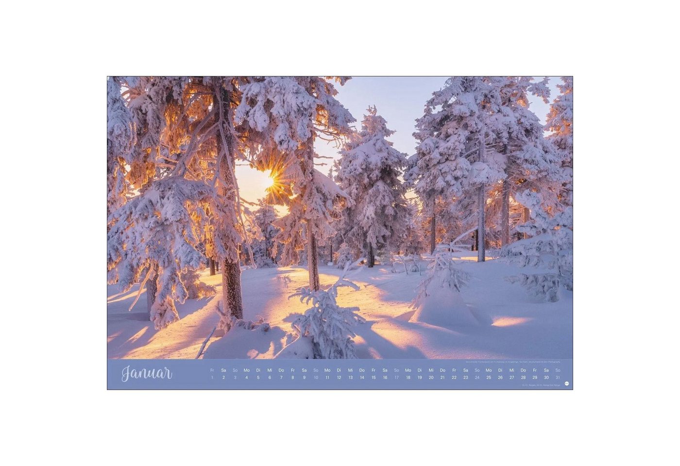 HEYE Wandkalender Zauberwälder Edition Kalender 2027 Bild 4