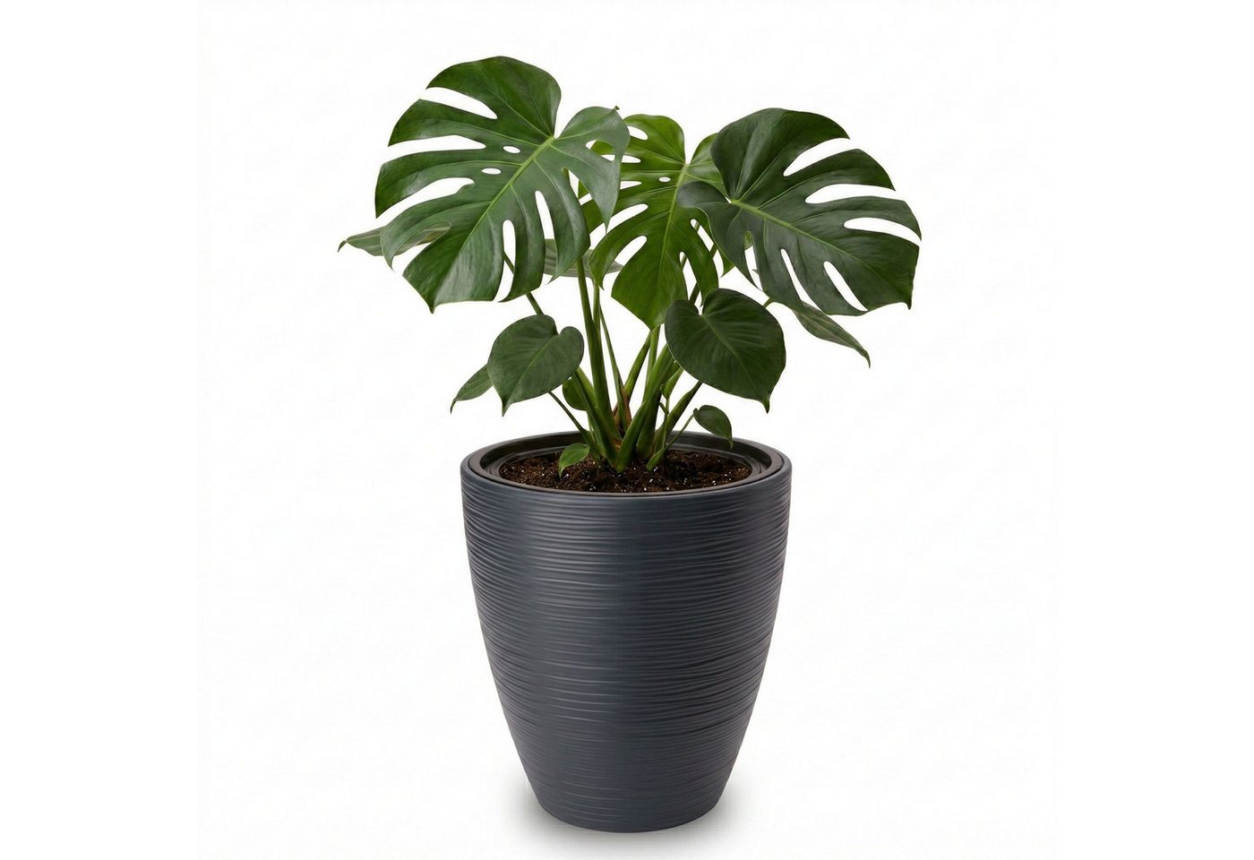 matches21 HOME & HOBBY Blumentopf Großer Outdoor Blumentopf CALMO schwarz in 29 x 32 cm (1 St), Runder innen, außen Pflanztopf als wetterfester Pflanzen-Topf Bild 2