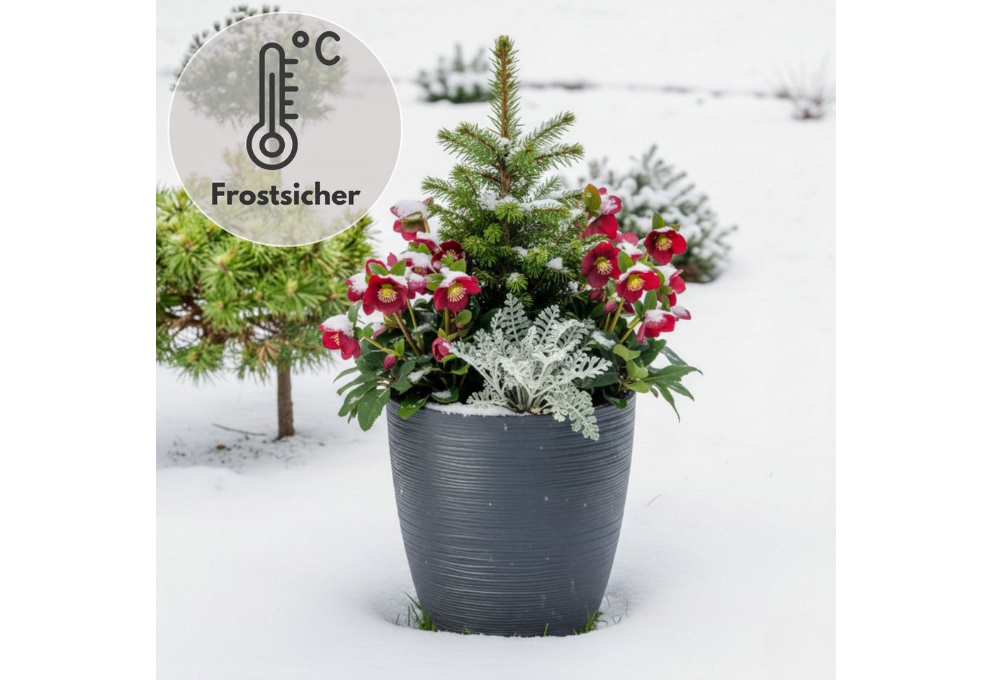 matches21 HOME & HOBBY Blumentopf Großer Outdoor Blumentopf CALMO schwarz in 29 x 32 cm (1 St), Runder innen, außen Pflanztopf als wetterfester Pflanzen-Topf Bild 5