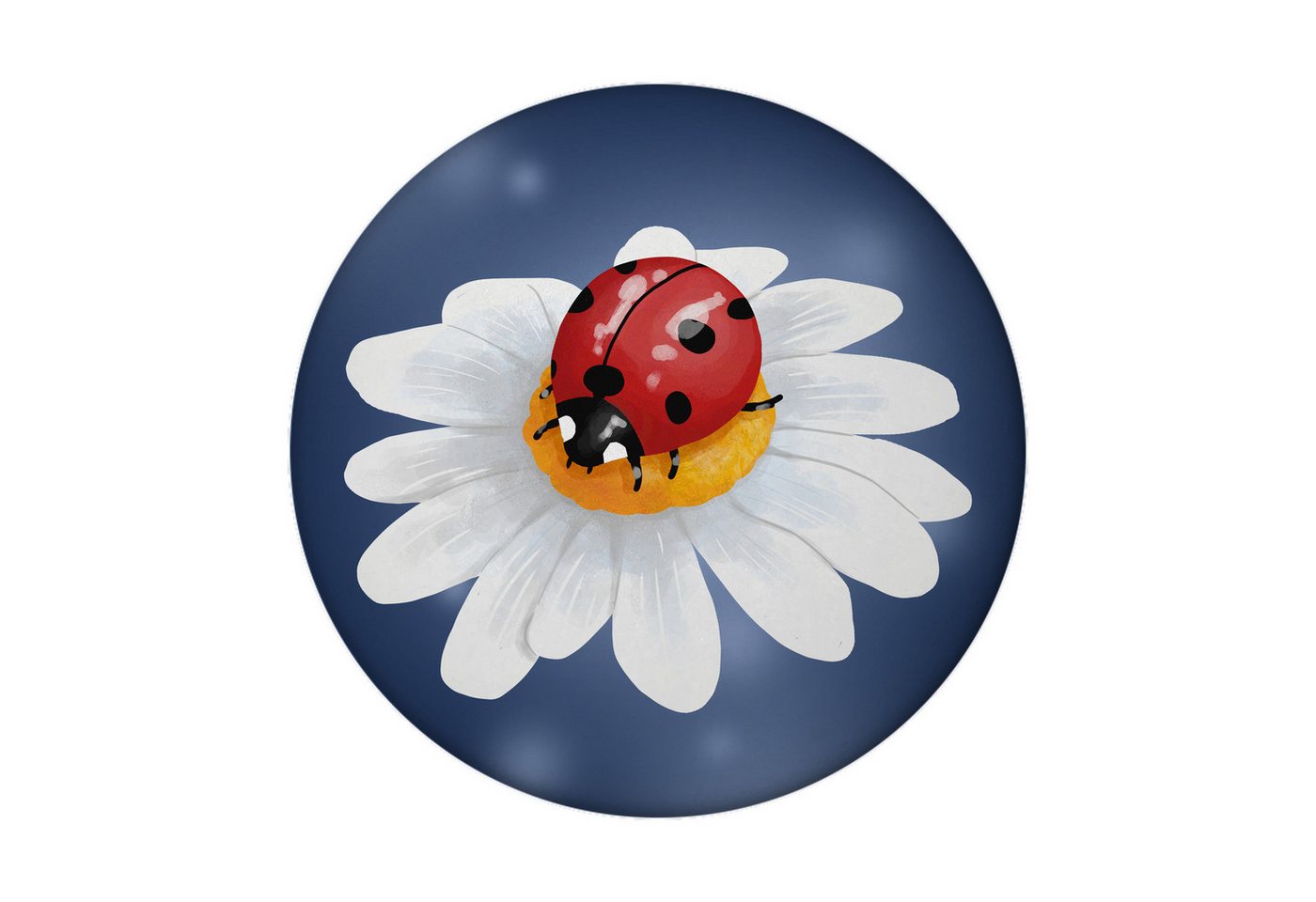 speecheese Magnet Marienkäfer Glücksbringer Magnet rund mit Flaschenöffner rund