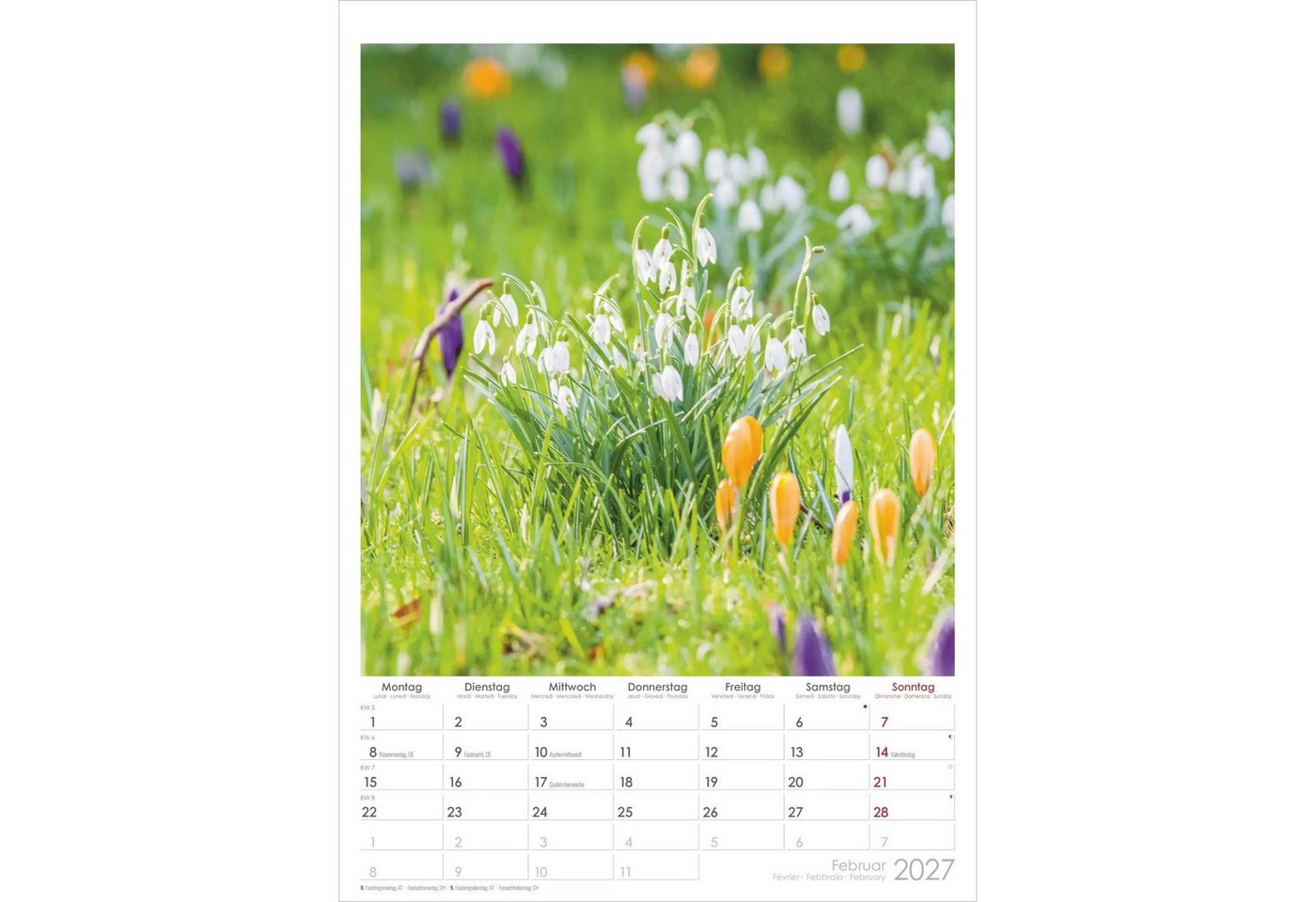 NEUMANN Wandkalender Traumgärten 2027 Bild 4