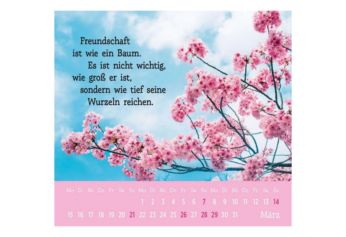 groh Verlag Monatskalender Mini-Kalender 2027: Der kleine Freundschaftskalender Bild 5