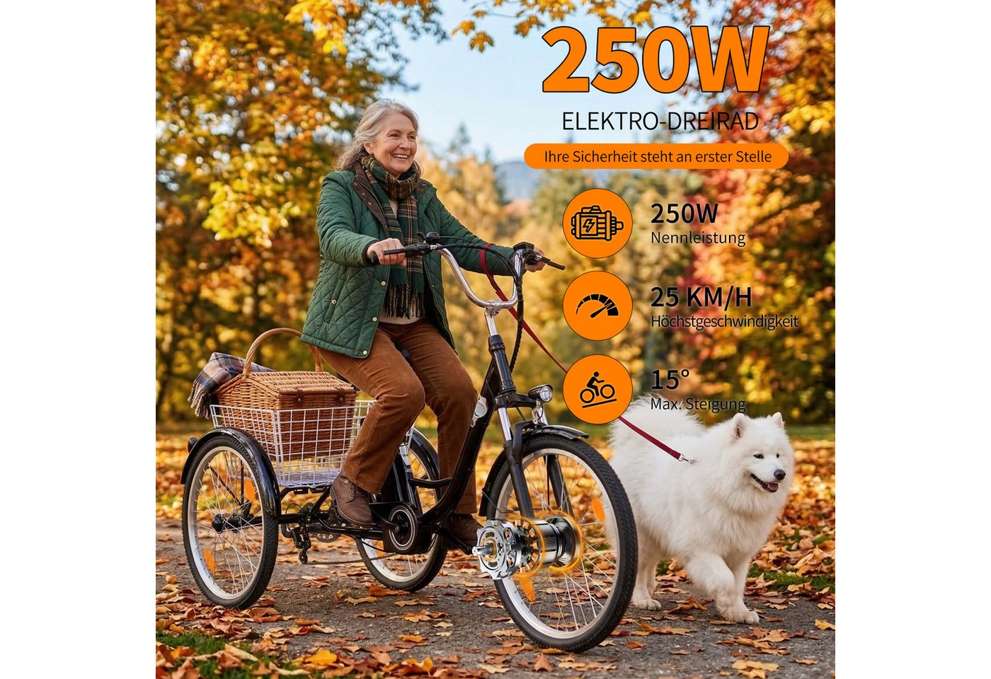 Vankel E-Bike Cityrad Damen u. Herren Elektro-Dreirad 24 Zoll 250W 540Wh 100km 3-Rad Pedelec, Kettenschaltung, Heckmotor, 648 Wh, (Beleuchtungsset mit Batterieladegerät, Batterieschlüssel, Werkzeug), Shimano 7-Gang Vorderradmotor Federgabel Cargobike 120kg Traglast Bild 4