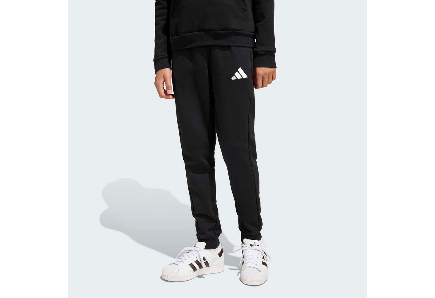 adidas Performance Trainingshose ENT26 SW PNTY