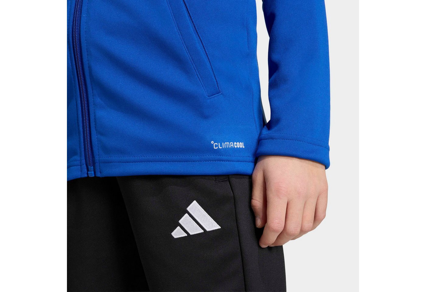 adidas Performance Trainingsjacke ENT26 TK JKTY Bild 4