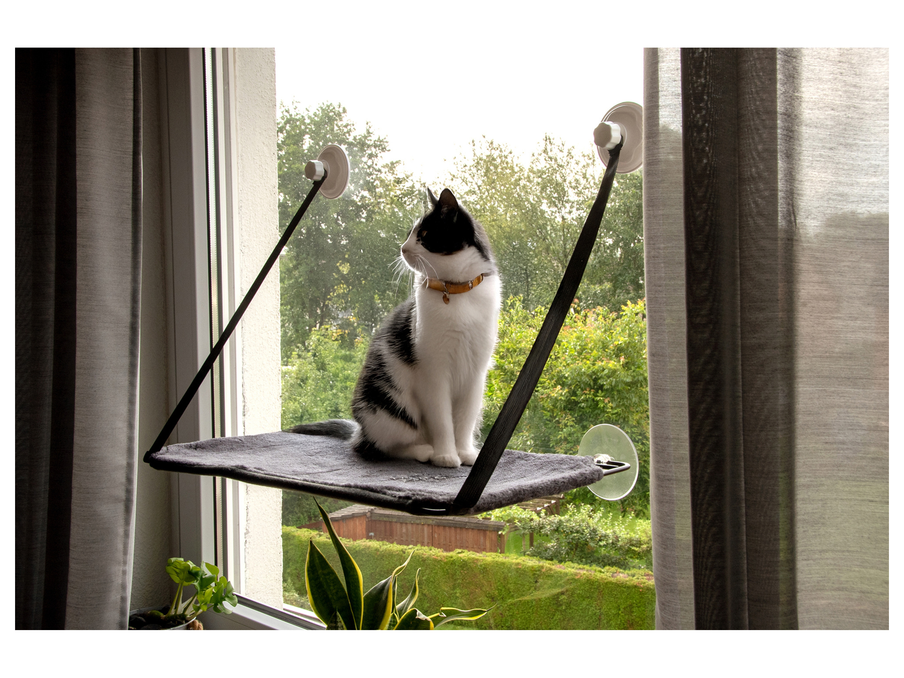 KARLIE Katzen Fensterliege (anthtazit) Bild 3