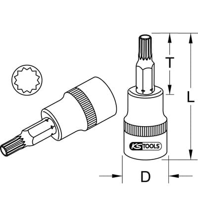 1/4' Bit-Stecknuss xzn, M7