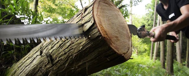 Ersatzsägeblatt für Katana 500-5 grob (404-50) - Silky