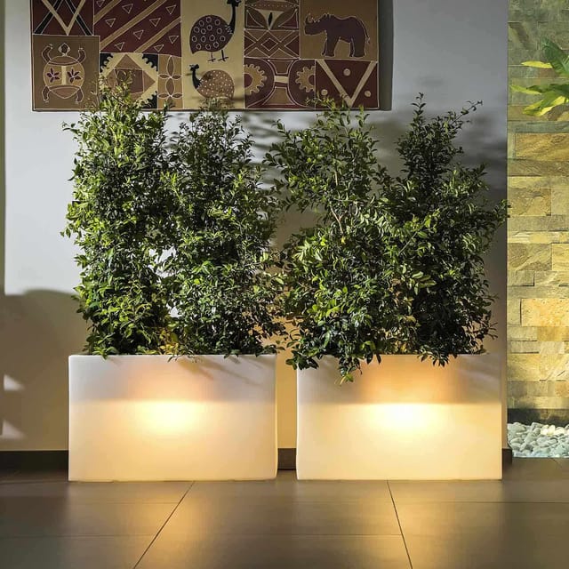 Blumenkübel Lampe Eckig 90x30 cm Höhe mod. Flowerpot Top Led mit multicolor led mit Batterie