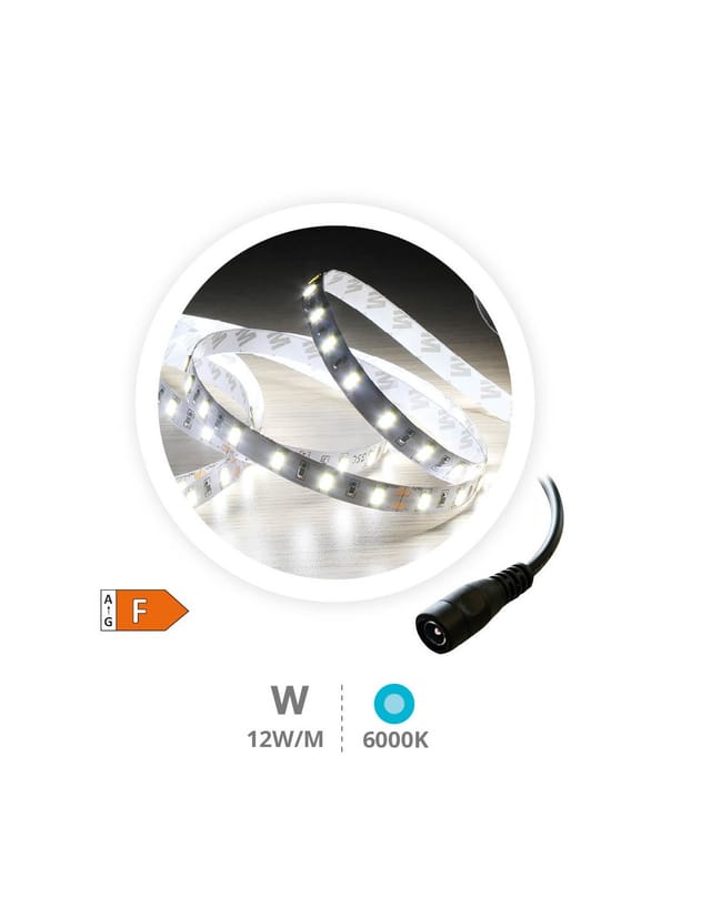 Rolle 5M LED-Streifen 12W/M 6000-6500K IP44 24V