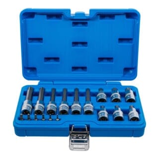 Bgs Technic - Bit-Einsatz-Satz Antrieb Innenvierkant 6,3 mm (1/4') / 12,5 mm (1/2') T-Profil (für Torx) 18-tlg.