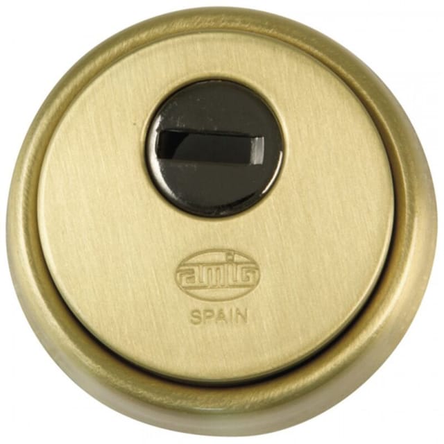 Massives, mattes Messingschild, 65 mm, Mod. 30 6358 Freunde