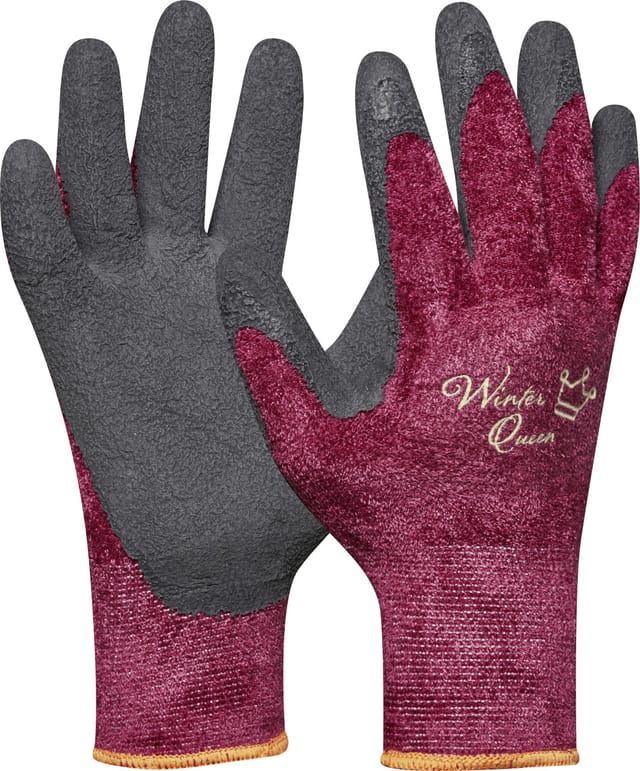 Damen Handschuh Winter Queen Größe 8 - Gebol