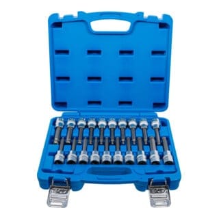 Bgs Technic - Bit-Einsatz-Satz Antrieb Innenvierkant 12,5 mm (1/2') Innensechskant, T-Profil (für Torx), Innenvielzahn (für xzn) mit Kugelkopf 20-tlg.
