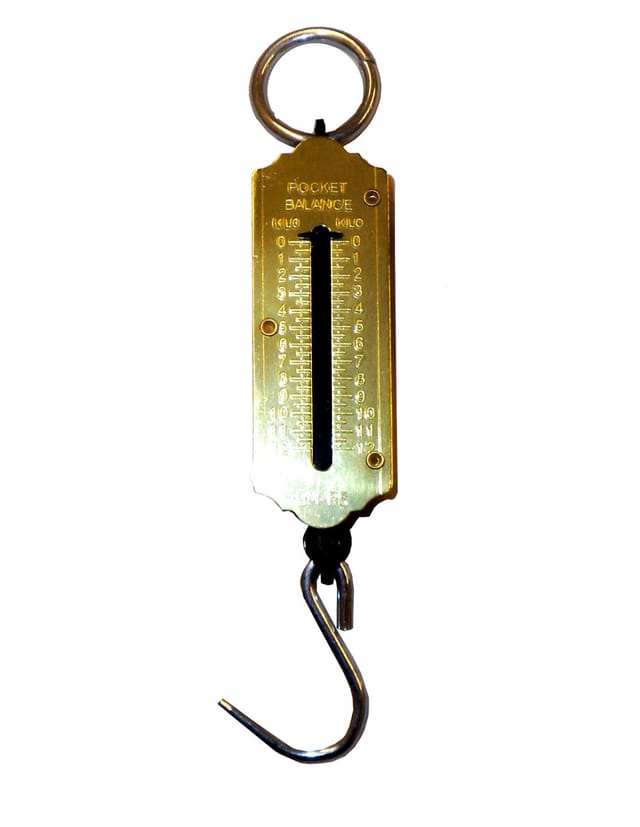Lams Gewichtshaken Dynamometer 25 kg