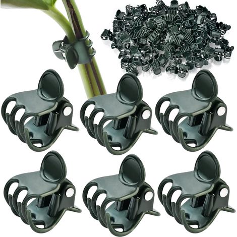 Set Mit 60 Wiederverwendbaren Orchideenclips Für Orchideenpflanzen, Dunkelgrün, Zum Stützen Und Halten Von Gartenpflanzen, Obst Und Gemüse