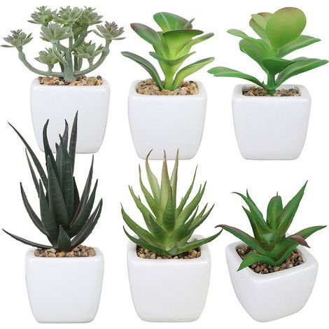6-teiliges Quadratisches Keramik-sukkulenten-bonsai-set Zur Heimdekoration