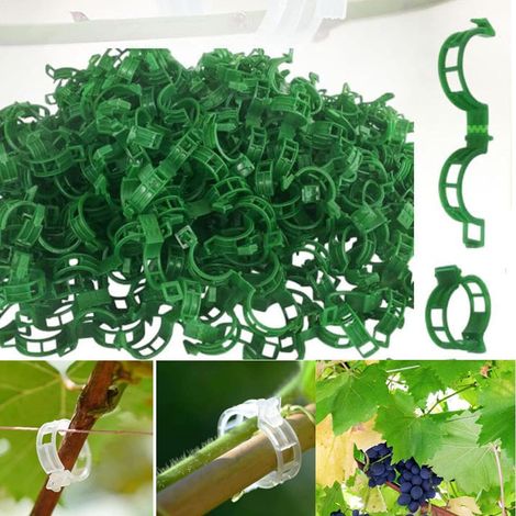 (300, Grün) Pflanzenstützen, Tomatenstützen, Stützclips Für Gartenpflanzen, Clips Für Gemüse, Tomatenranken, Stängel Für Gerades Und Gesundes Wachstum
