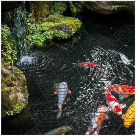 Packung Mit 20 Schwimmenden Kunststoff-reiherschutzgittern Für Teiche.