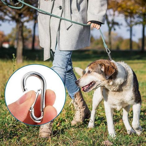 Karabiner, 25er-pack – Korrosionsbeständiges Eisen – Schnellverschluss – Leicht Und Kompakt – Etikett