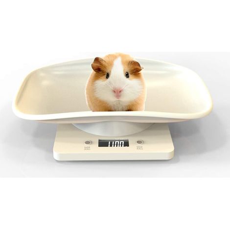 Digitale Haustierwaage (10 Kg/22 Lb) Mit Lcd-display, 4 Wiegemodi (oz/ml/lb/g) Für Haustiere Und Küche, Geeignet Zum Wiegen Von Katzen, Hunden Und Futter