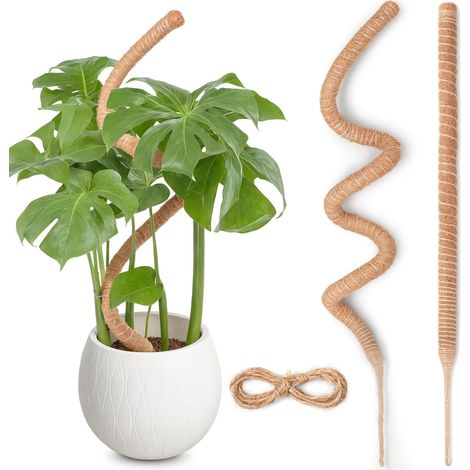 120 Cm X 2 Monstera-pflanzenstütze, Monstera-moosstab-set Für Kletterpflanzen, Kokosfaser-pflanzenstütze Für Zimmerpflanzen