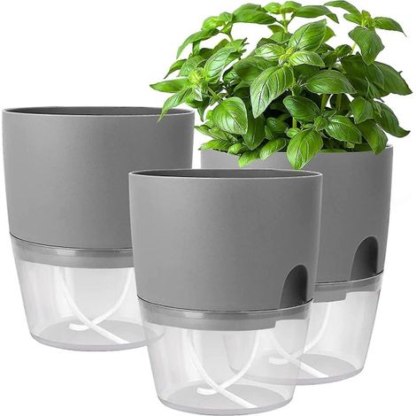 Set Aus Aromatischen Kräutertöpfen Zum Aufstellen Auf Der Fensterbank, Selbstbewässernder Kräutergarten Für Die Küche Und Ihre Frische.