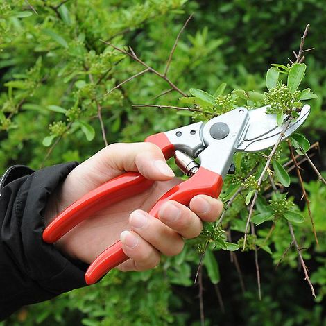 Linkshändige Gartenschere Mit Scharfen Klingen, 25 Mm X 210 Mm X 65 Mm