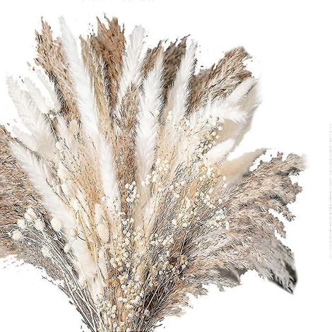 Strauß Aus 100 Natürlichen, Getrockneten Pampasgrasblüten, Ideal Für Die Blumendekoration Bei Hochzeiten.