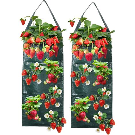 Pflanzsäcke, 8 Löcher, Pe, Atmungsaktiv, Für Erdbeeren, Gemüse, Balkon