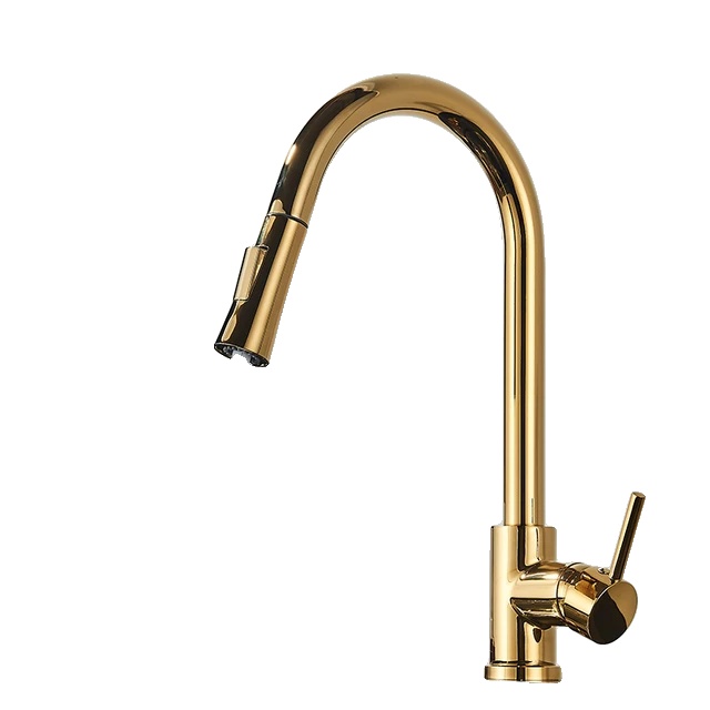 Küchenarmatur, Ausziehbarer Brausekopf, Modernes Design, Bedeutungsloses Polnisches Gold