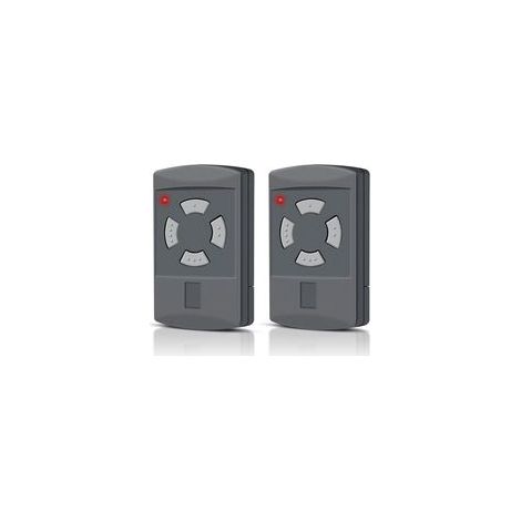 Set Mit 2 Funksendern – 40,685 Mhz – Kompatibel Mit Den Hörmann Modellen Hsm4-40, Hsm2-40, Hs2-40, Hs4-40, Hse2-40 Und Hse4-40 (graue Taste) – 4 Kanäle