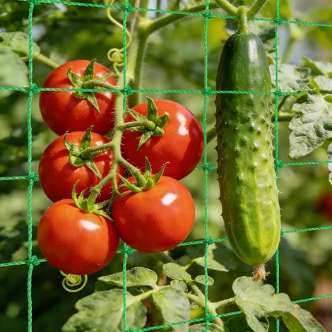 Gartennetz, Rankgitter Für Kletterpflanzen, Gurken, Tomaten, Vielseitig Einsetzbar Im Freien Und In Innenräumen