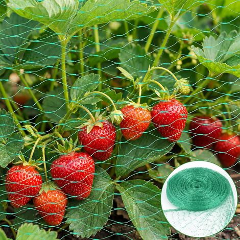 Vogelschutznetz, 4 X 6 M, Grünes Pe, Schutz Für Pflanzen, Obstbäume, Gemüsegärten