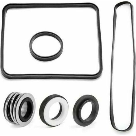Hayward Super Pump Sp2600 1600 2600x O-ring-reparatursatz
