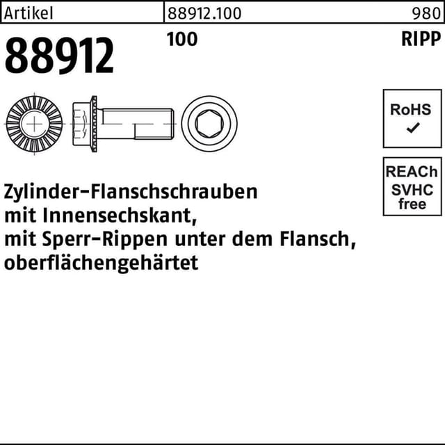 Zylinderflanschschraube R 88912 Sperr-Ripp Innen-6-kant M 6 x 25 100