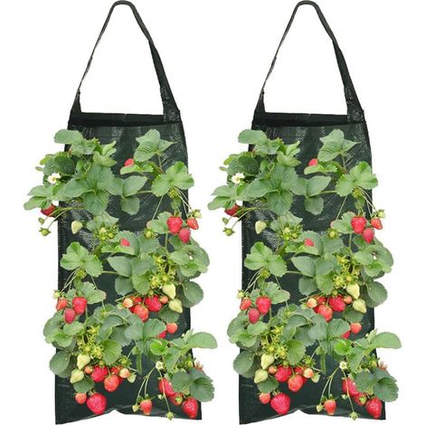 2-teiliges Pflanzbeutel-set, 8 Löcher, Atmungsaktives Material, Stabiler Griff, Für Erdbeeren, Gemüse Und Blumen