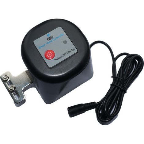 Intelligentes Magnetventil, Einstellbar, Wlan-fähig, Ip44, 12 V, 1 A, Tuya-kompatibel, Schwarz