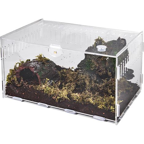 Terrarium, Acryl, Transparent, 20 X 12 X 12 Cm, Leicht, Robust, Für Pflanzen, Sukkulenten, Innendekoration